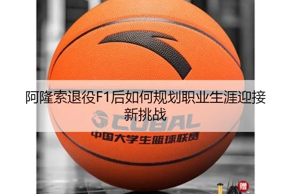 阿隆索退役F1后如何规划职业生涯迎接新挑战